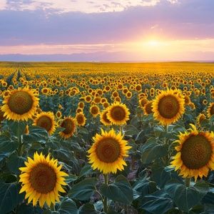 Meet your Posher, Karla